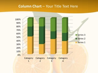 Slice Colorful Citrus PowerPoint Template