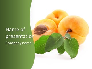 Season Plant Orange PowerPoint Template