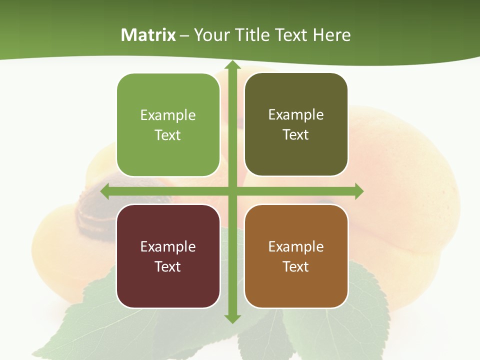 Season Plant Orange PowerPoint Template