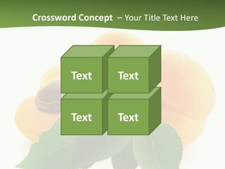 Season Plant Orange PowerPoint Template