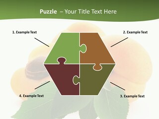 Season Plant Orange PowerPoint Template