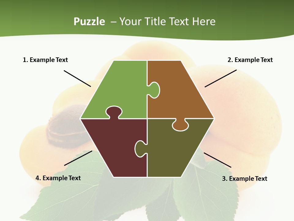 Season Plant Orange PowerPoint Template