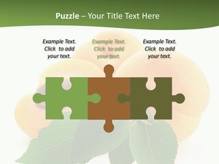 Season Plant Orange PowerPoint Template