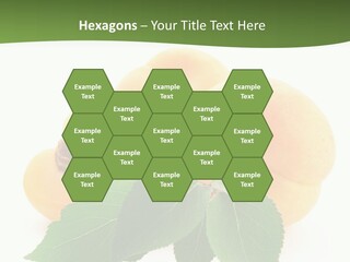 Season Plant Orange PowerPoint Template