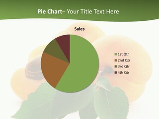 Season Plant Orange PowerPoint Template