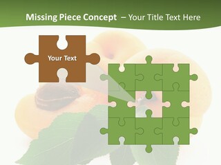 Season Plant Orange PowerPoint Template