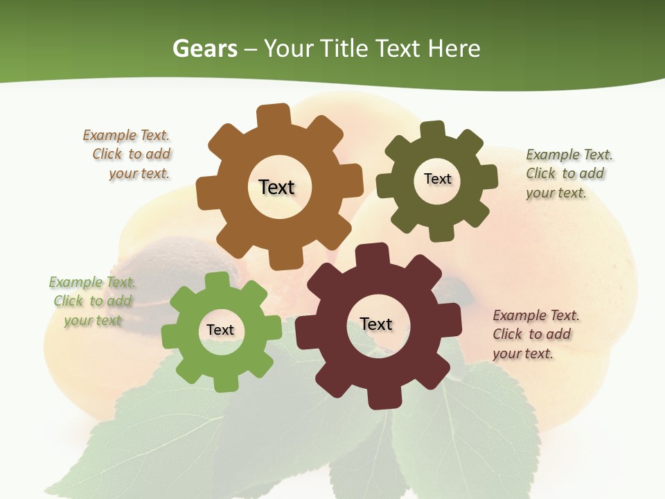 Season Plant Orange PowerPoint Template