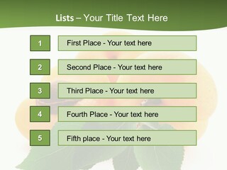 Season Plant Orange PowerPoint Template