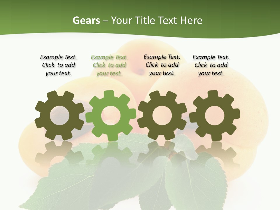 Season Plant Orange PowerPoint Template