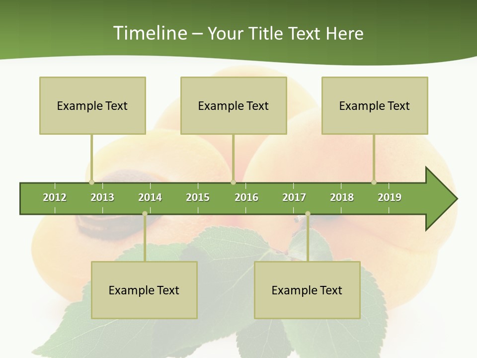 Season Plant Orange PowerPoint Template