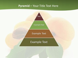 Season Plant Orange PowerPoint Template