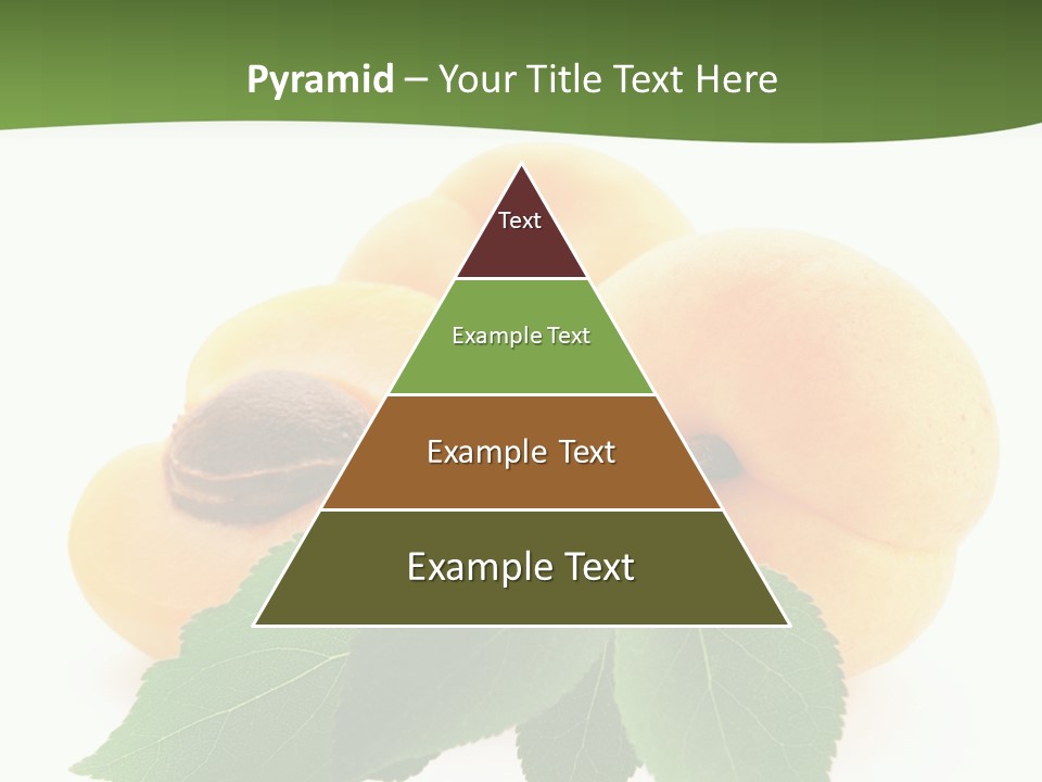 Season Plant Orange PowerPoint Template