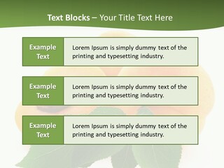 Season Plant Orange PowerPoint Template
