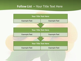 Season Plant Orange PowerPoint Template