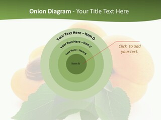 Season Plant Orange PowerPoint Template