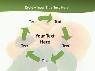 Season Plant Orange PowerPoint Template