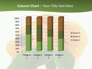 Season Plant Orange PowerPoint Template