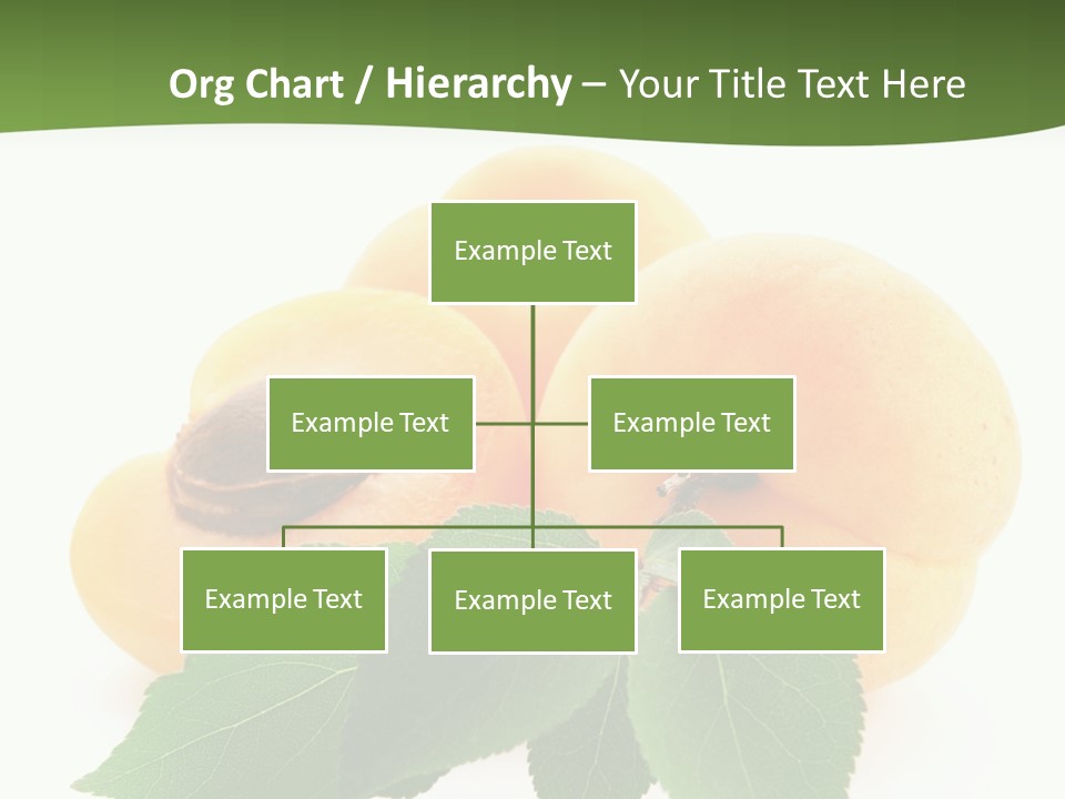 Season Plant Orange PowerPoint Template