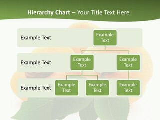 Season Plant Orange PowerPoint Template