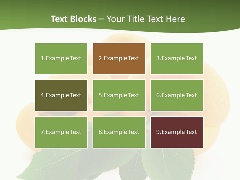 Season Plant Orange PowerPoint Template