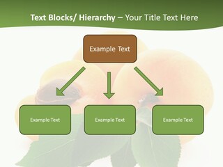 Season Plant Orange PowerPoint Template