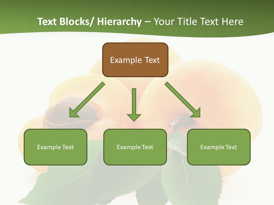 Season Plant Orange PowerPoint Template