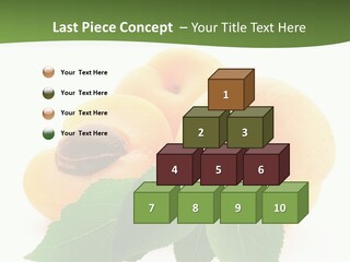 Season Plant Orange PowerPoint Template