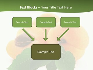 Season Plant Orange PowerPoint Template