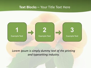 Season Plant Orange PowerPoint Template