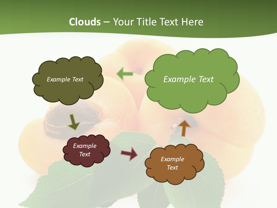 Season Plant Orange PowerPoint Template