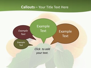 Season Plant Orange PowerPoint Template