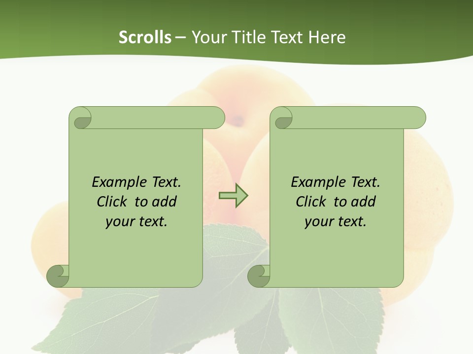Season Plant Orange PowerPoint Template