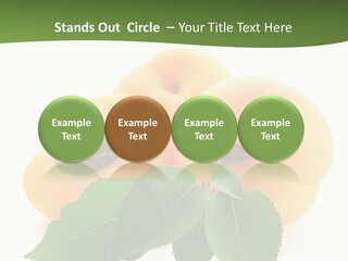 Season Plant Orange PowerPoint Template