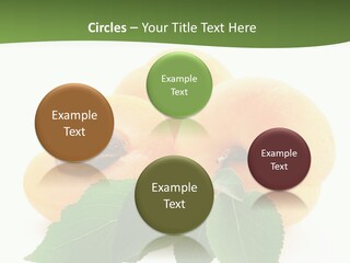 Season Plant Orange PowerPoint Template