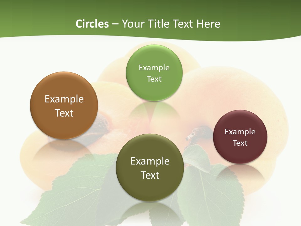 Season Plant Orange PowerPoint Template