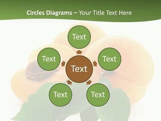 Season Plant Orange PowerPoint Template