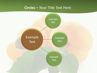 Season Plant Orange PowerPoint Template