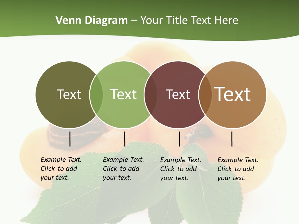 Season Plant Orange PowerPoint Template