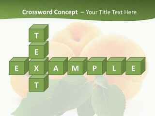 Season Plant Orange PowerPoint Template