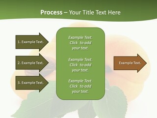 Season Plant Orange PowerPoint Template