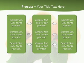 Season Plant Orange PowerPoint Template