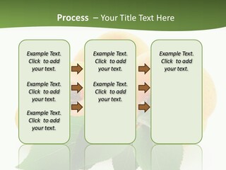 Season Plant Orange PowerPoint Template