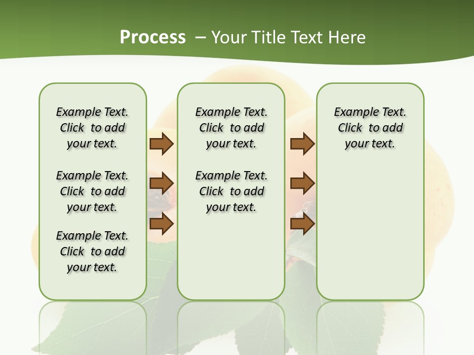 Season Plant Orange PowerPoint Template