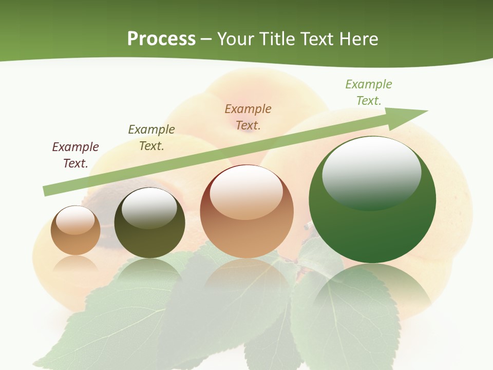 Season Plant Orange PowerPoint Template