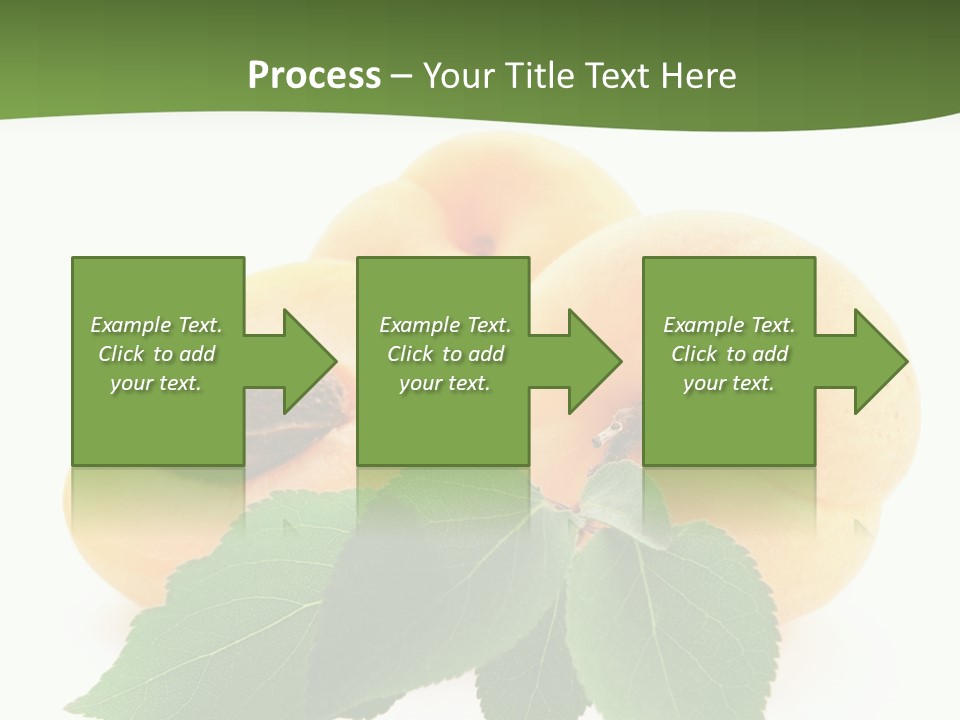 Season Plant Orange PowerPoint Template