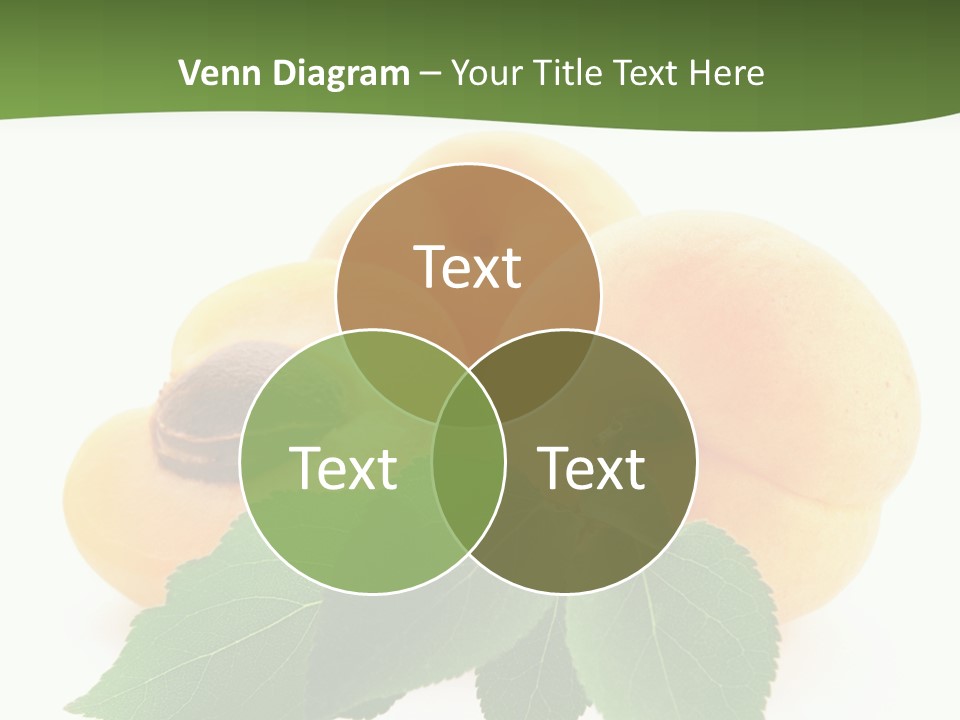 Season Plant Orange PowerPoint Template