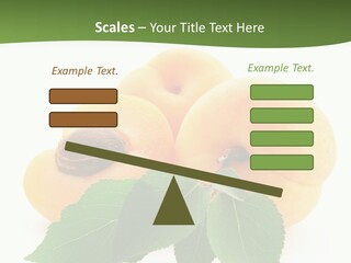 Season Plant Orange PowerPoint Template