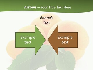 Season Plant Orange PowerPoint Template