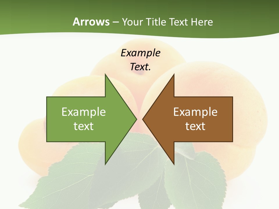 Season Plant Orange PowerPoint Template