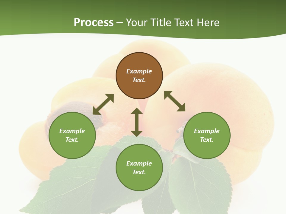 Season Plant Orange PowerPoint Template